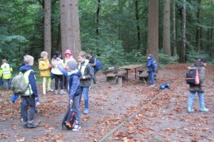 Herbstspaziergang im Schlosspark