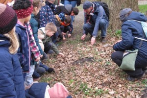 Und schon ist der Frühling da