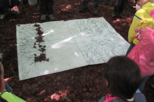 Waldtage in den Mansholter Büschen