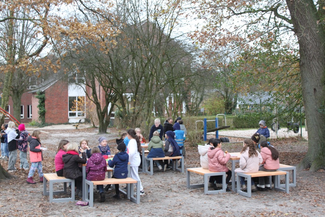 Endlich sind sie da! 