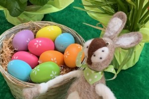 Wir wünschen allen Schülerinnen und Schülern und ihren Familien schöne und erholsame Osterferien! 